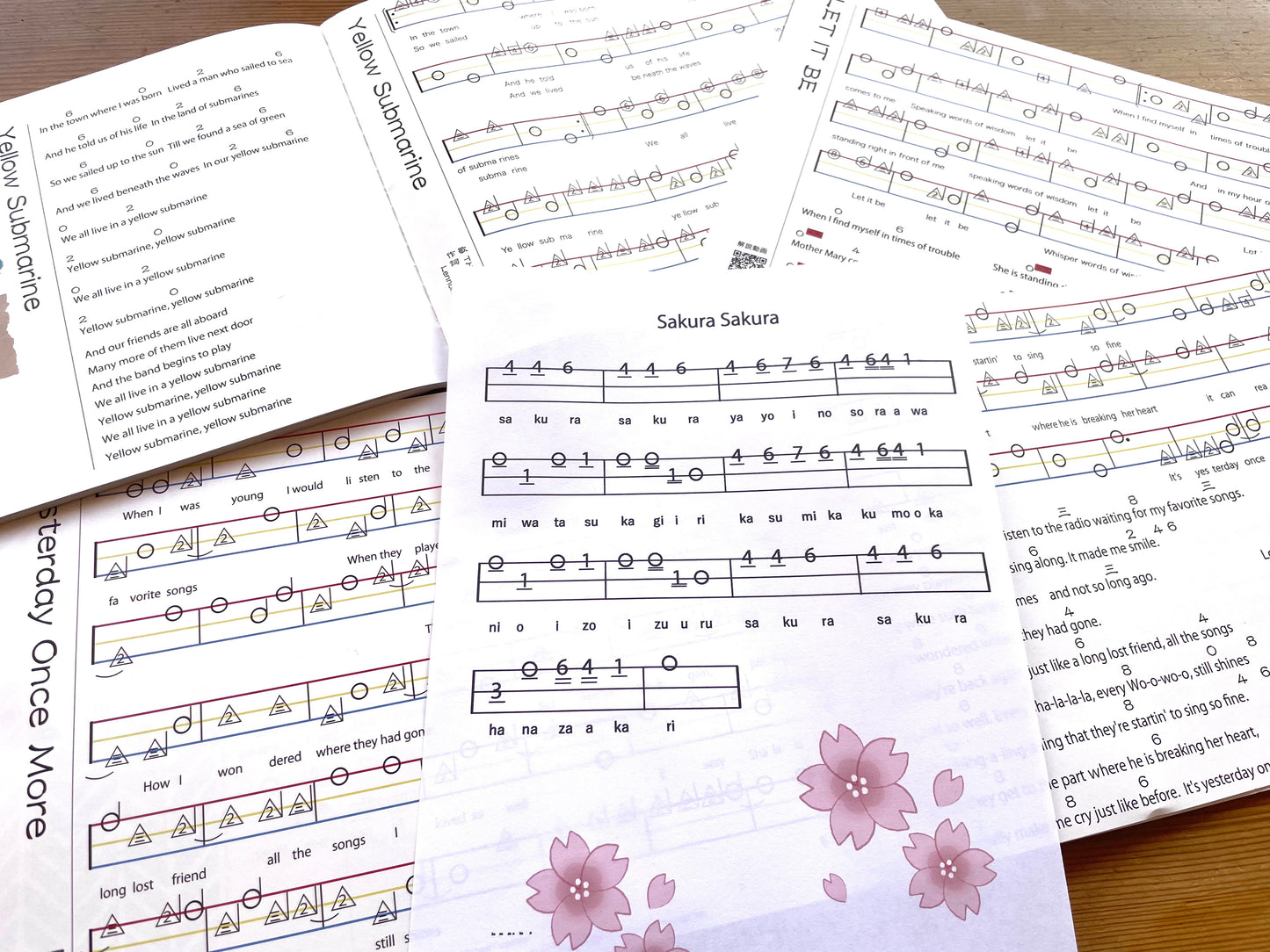 Wagakki (instrument: Shamisen, Kokyu, SHABO) Experience