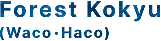 Forest Koyku(Waco Haco)