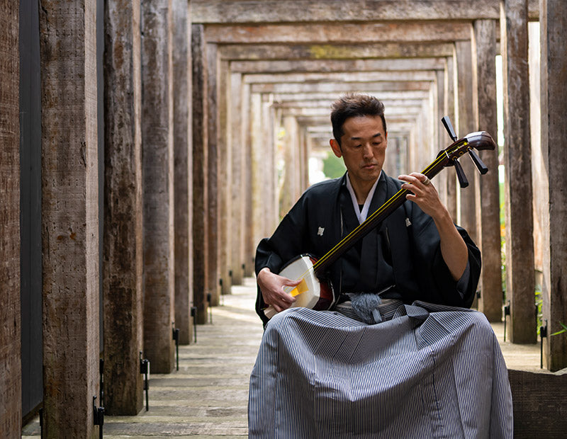 <span>S</span>hamisen