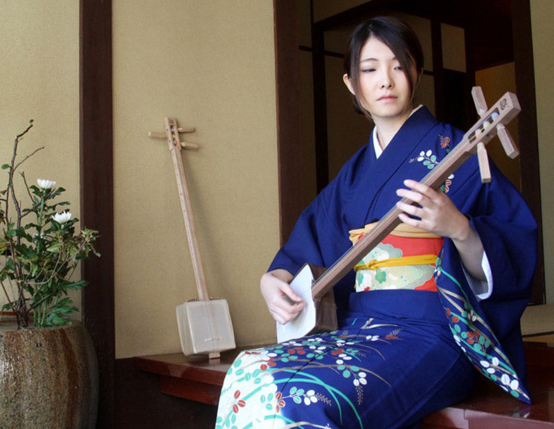 <span>S</span>hamisen for Beginners