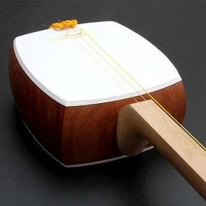 Classic Shamisen made of Oak