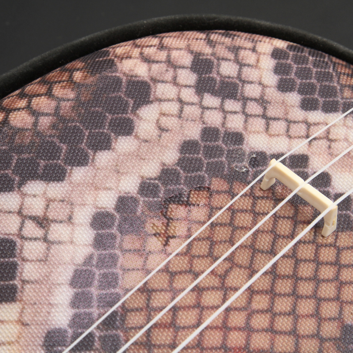 Okinawa Sanshin（Second Hands）