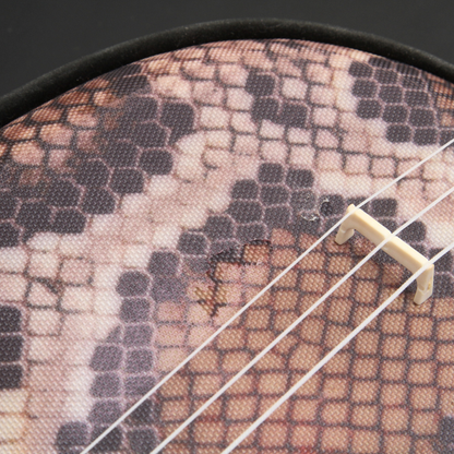 Okinawa Sanshin（Second Hands）