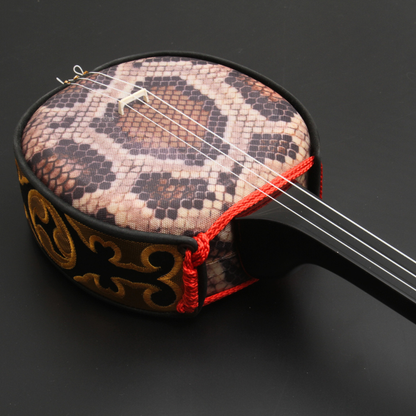 Okinawa Sanshin（Second Hands）